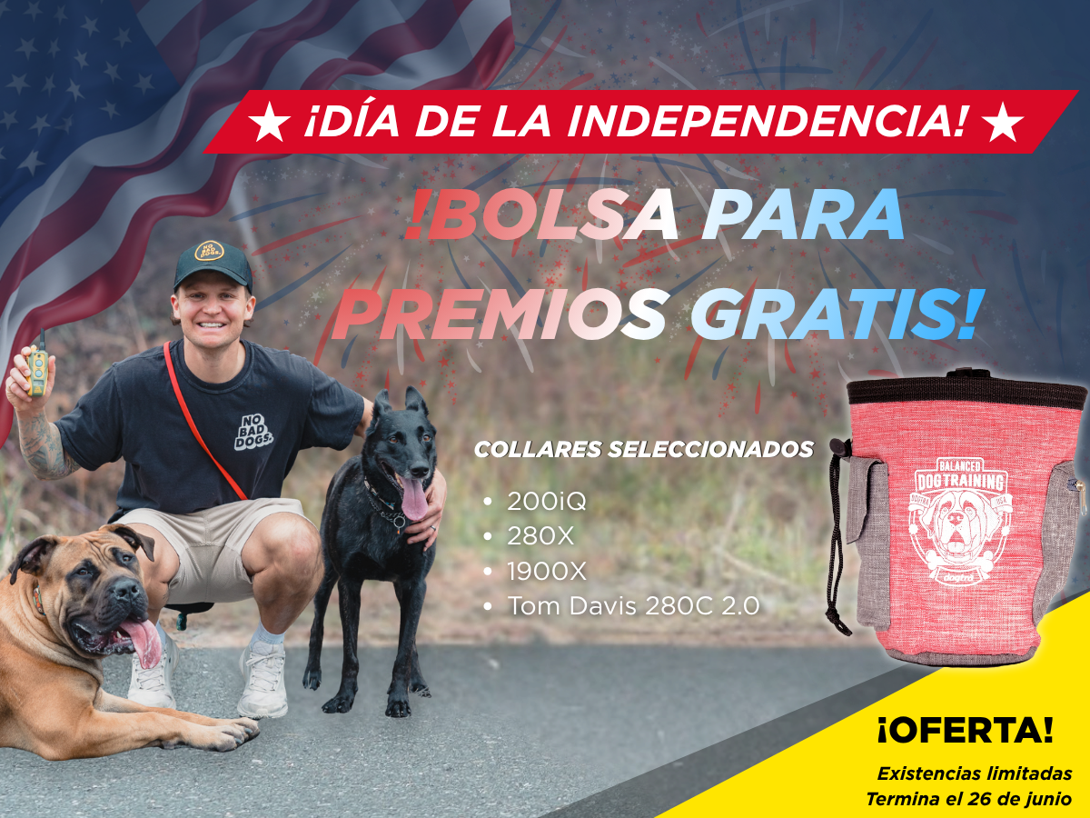 Oferta del Día de la Independencia