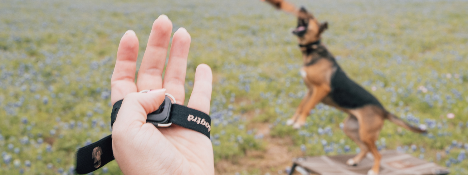 HANDSFREE SERIES