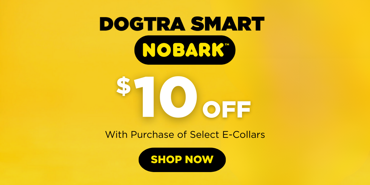 Dogtra Smart NoBark – Save $10