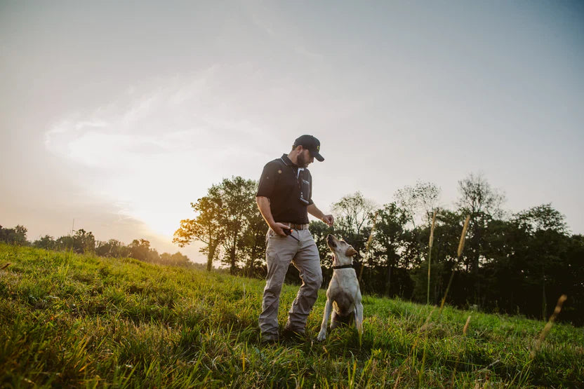 2 Dog Training Collar System