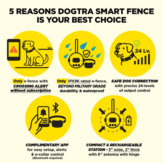 DOGTRA SMART FENCE