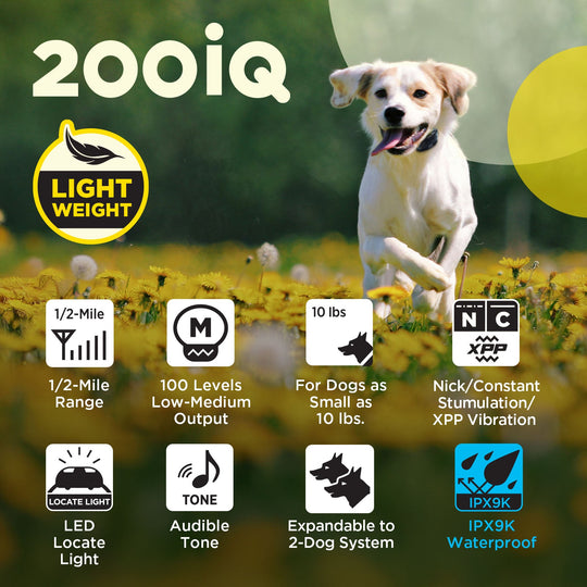 200iQ-Unidad para 2 perros