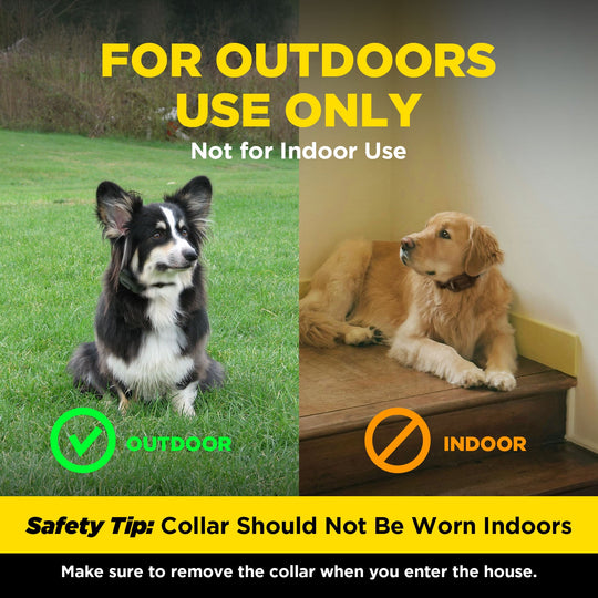 Receptor adicional Dogtra Smart Fence