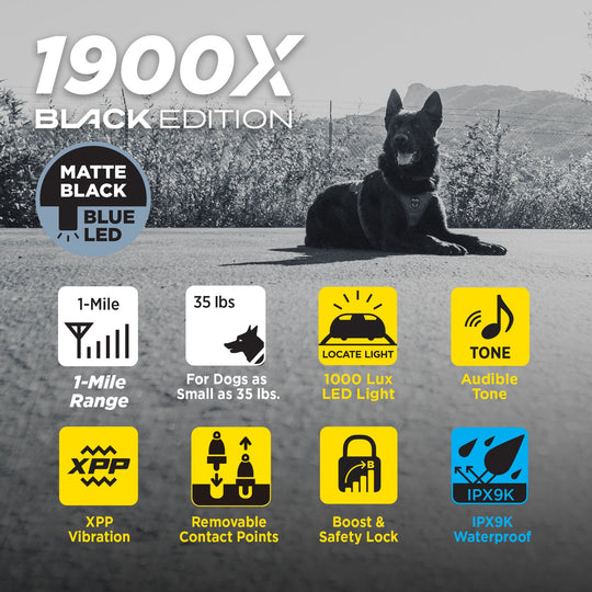 Receptor adicional 1900X Black Edition