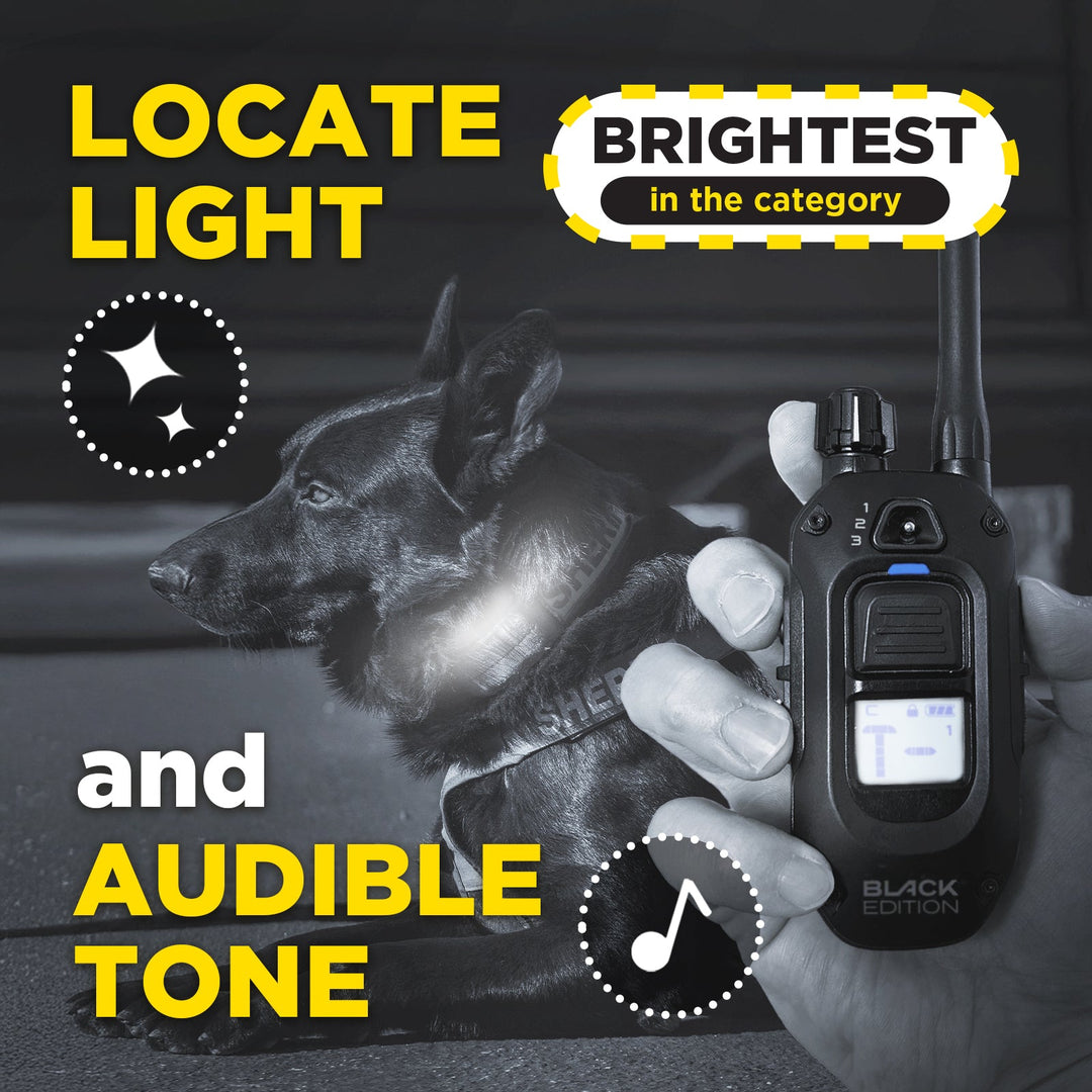 1900X BLACK EDITION 1-DOG UNIT