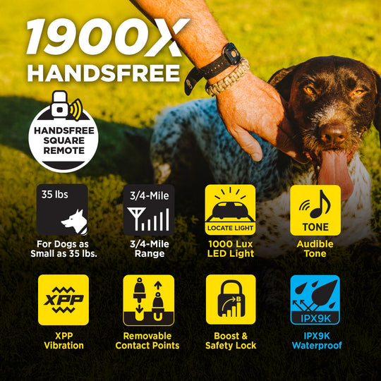 1900X HANDSFREE-Unidad para 1 perro