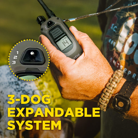 1900X HANDSFREE-Unidad para 1 perro
