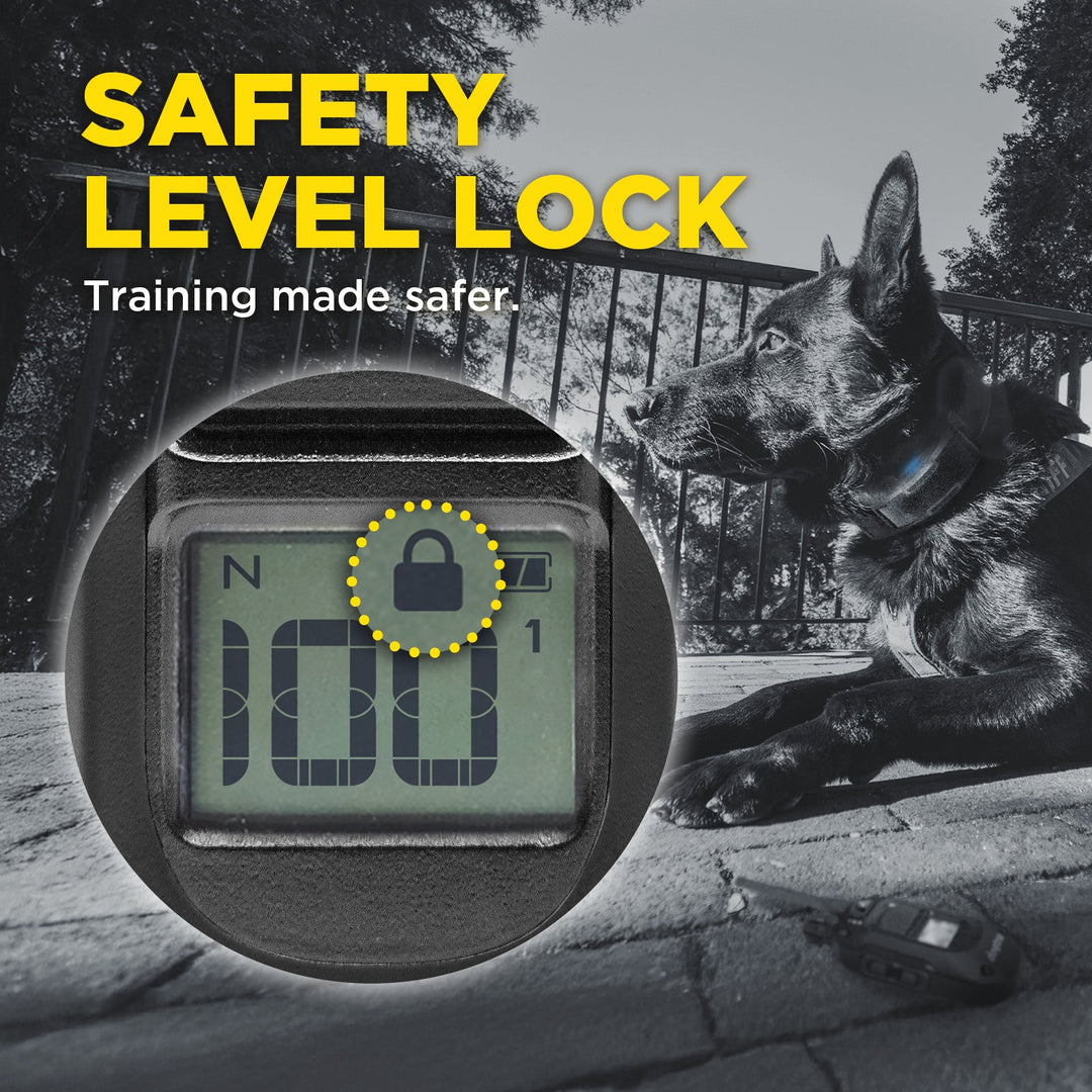 1900X BLACK EDITION 1-DOG UNIT