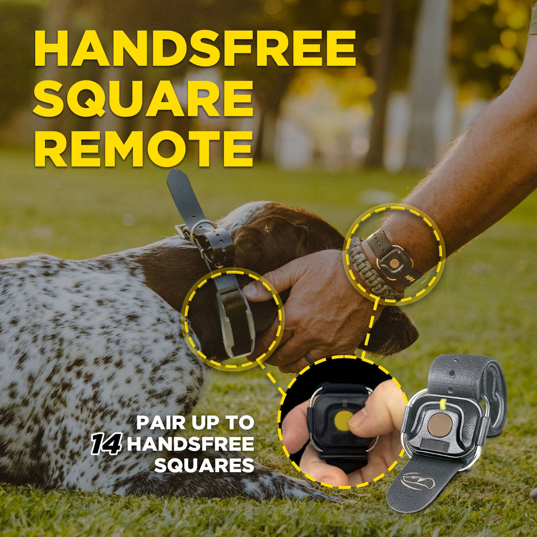 1900X HANDSFREE-Unidad para 1 perro