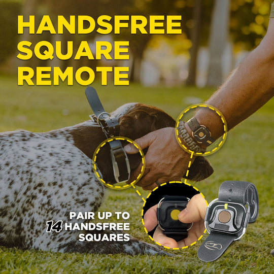 1900X HANDSFREE-Unidad para 1 perro