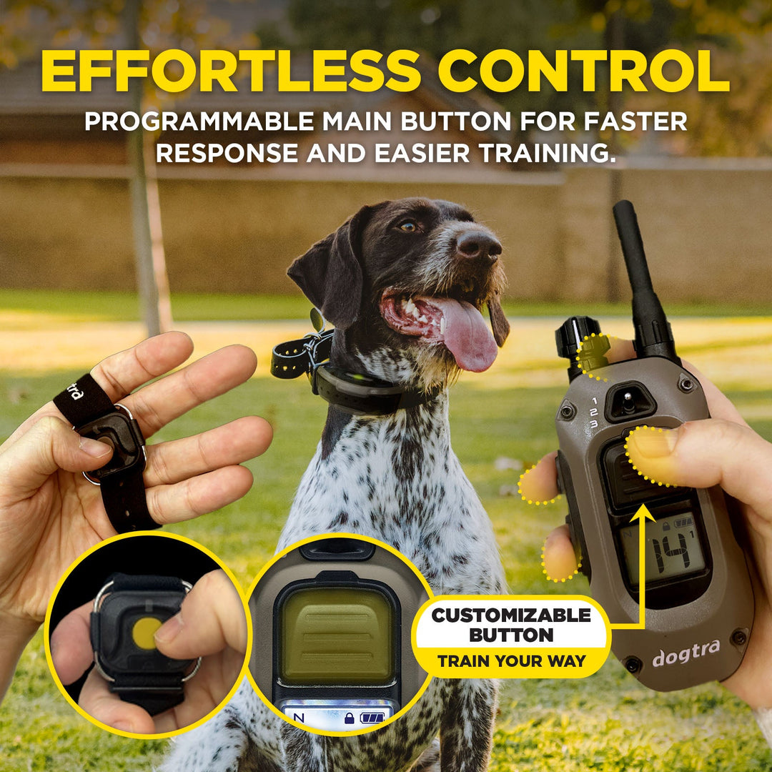 1900X HANDSFREE-Unidad para 1 perro