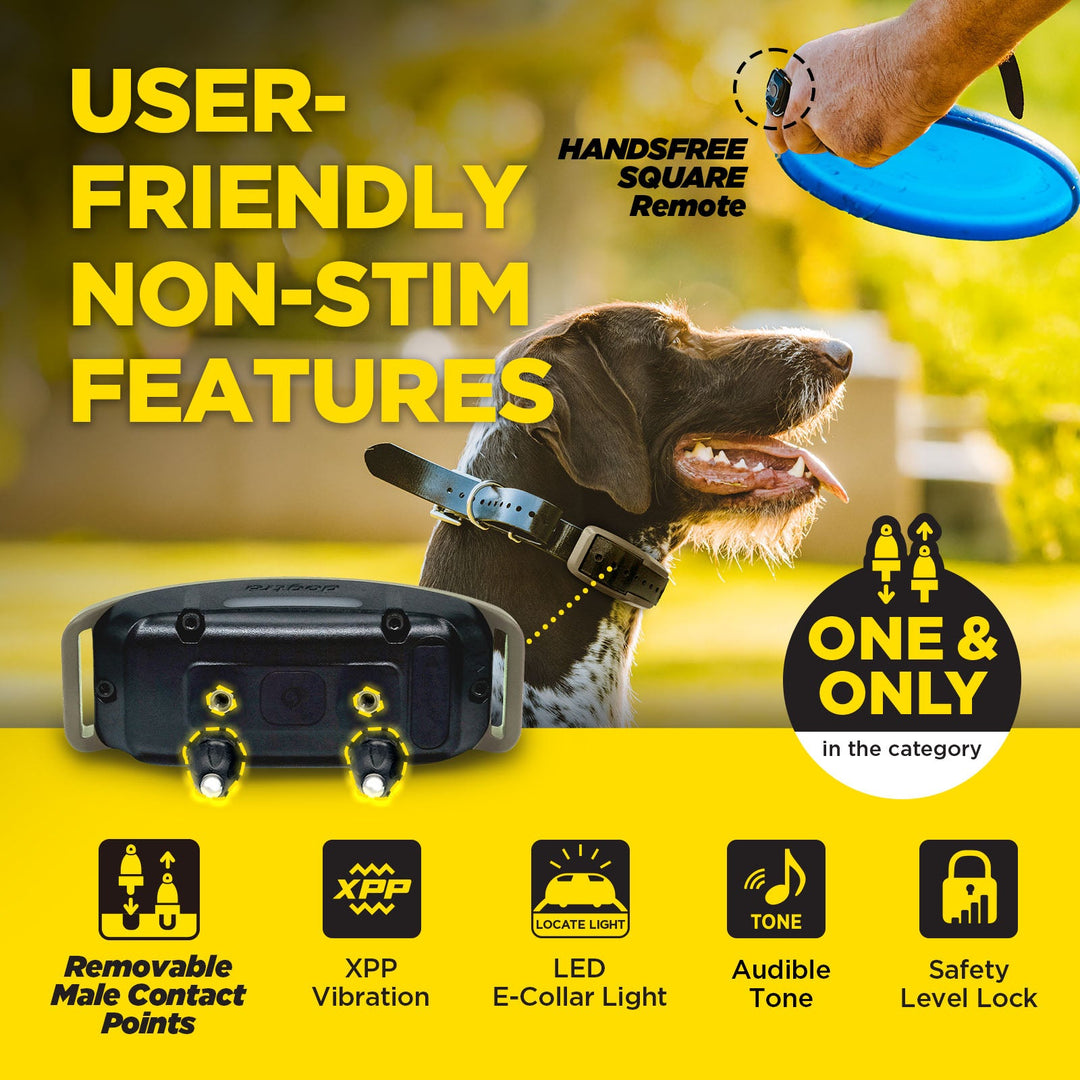 1900X HANDSFREE-Unidad para 1 perro