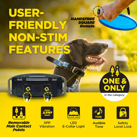 1900X HANDSFREE-Unidad para 1 perro