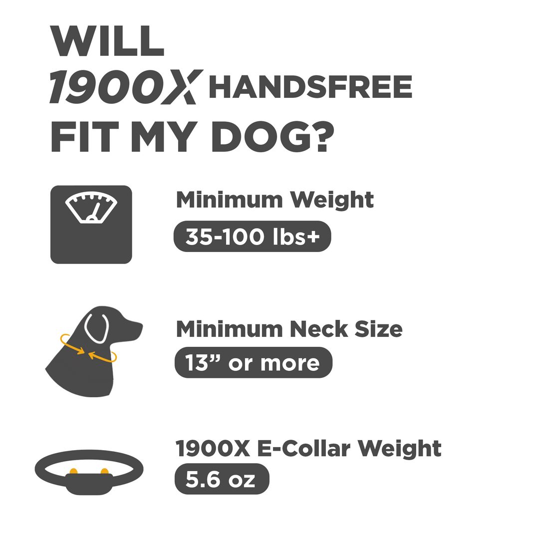 1900X HANDSFREE-Unidad para 1 perro