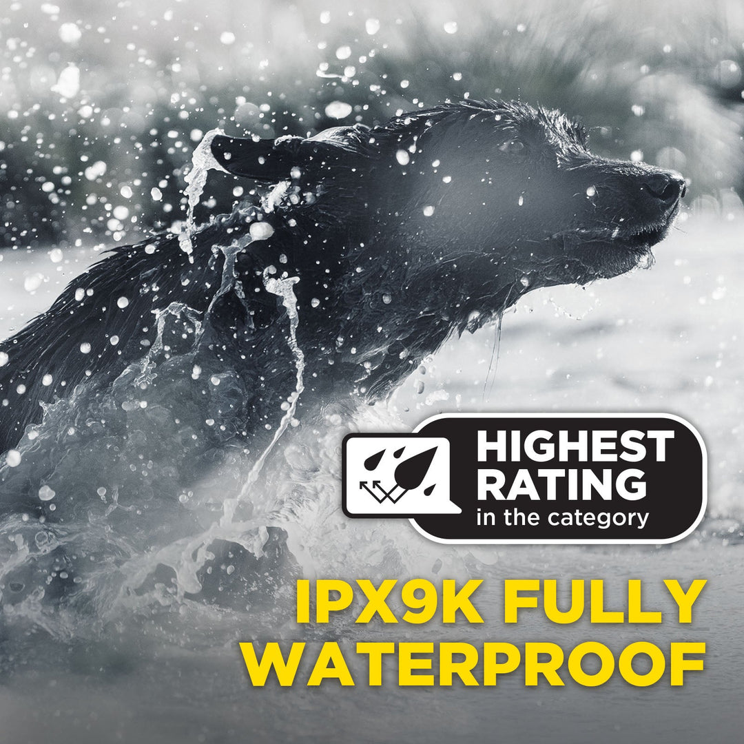 1900X BLACK EDITION 1-DOG UNIT