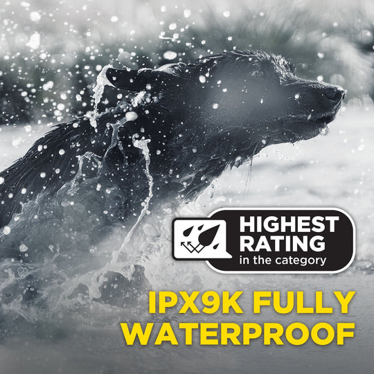 1900X BLACK EDITION 1-DOG UNIT