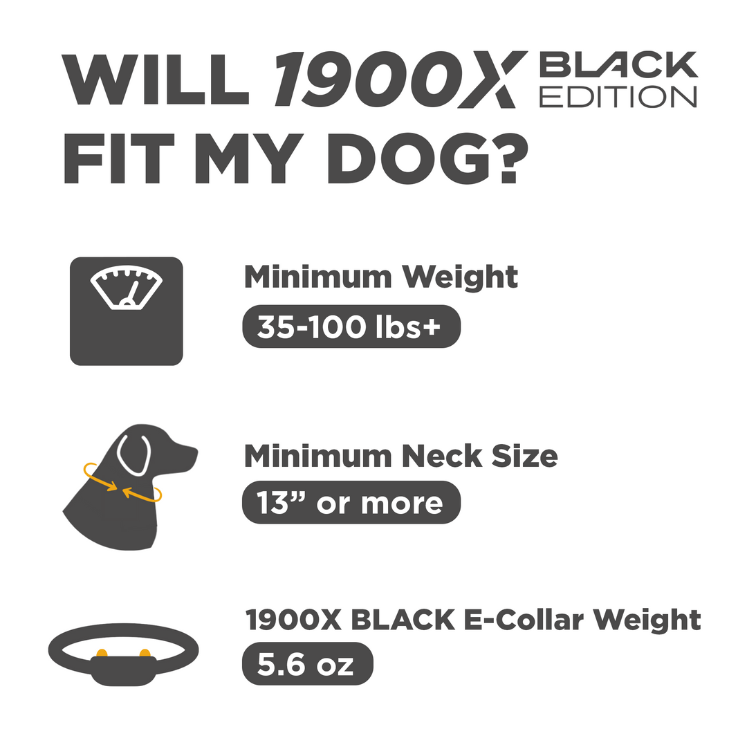 Receptor adicional 1900X Black Edition