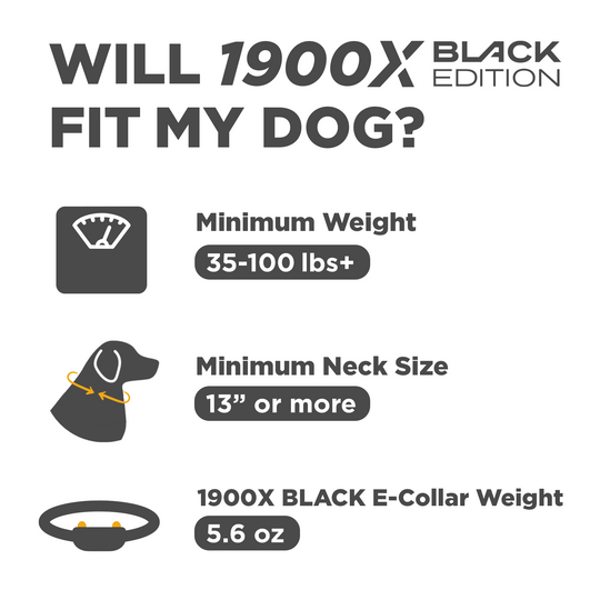 Receptor adicional 1900X Black Edition