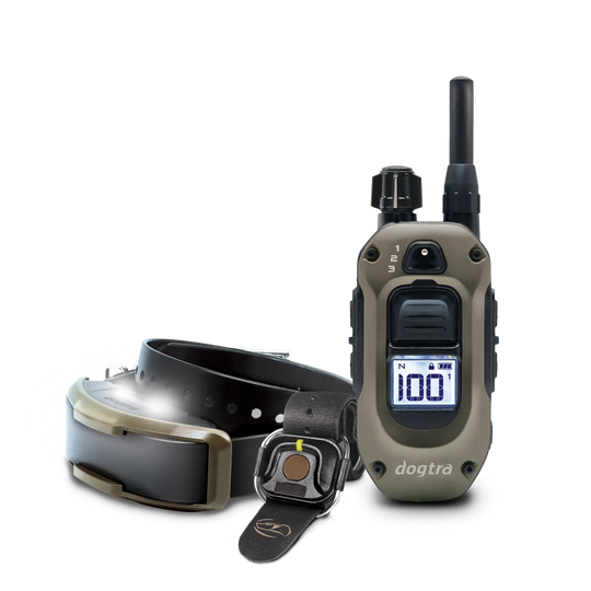 1900X HANDSFREE-Unidad para 1 perro