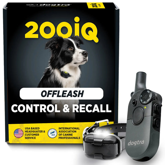 200iQ-Unidad para 1 perro