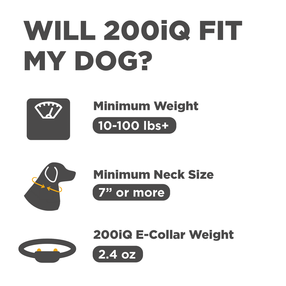200iQ 1-DOG UNIT