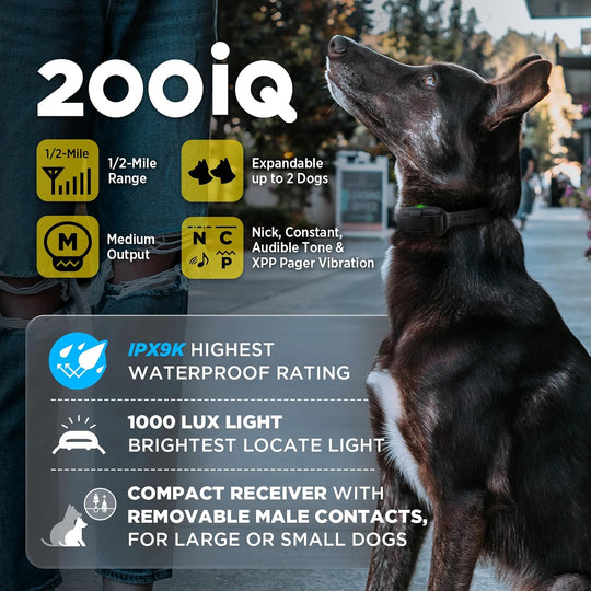 200iQ-Unidad para 1 perro