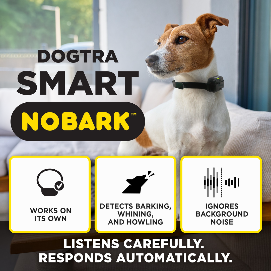 DOGTRA SMART NOBARK