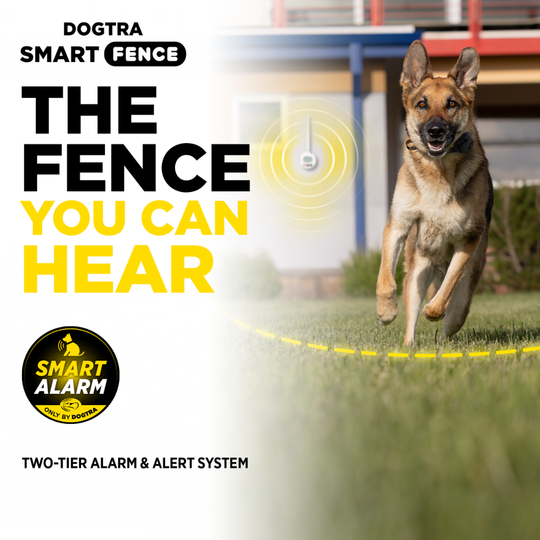DOGTRA SMART FENCE-Cerca portátil para perros