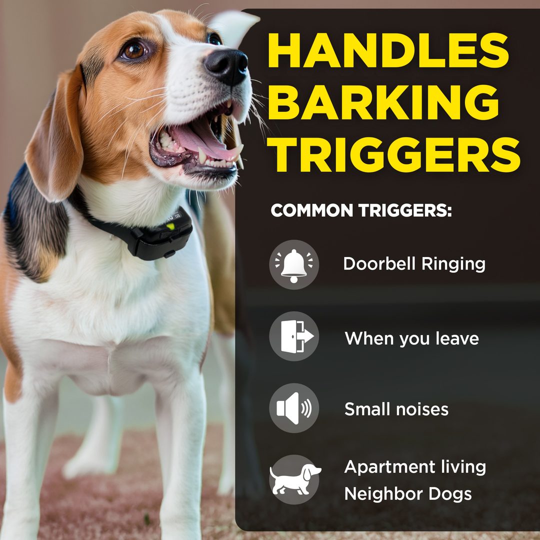 DOGTRA SMART NOBARK