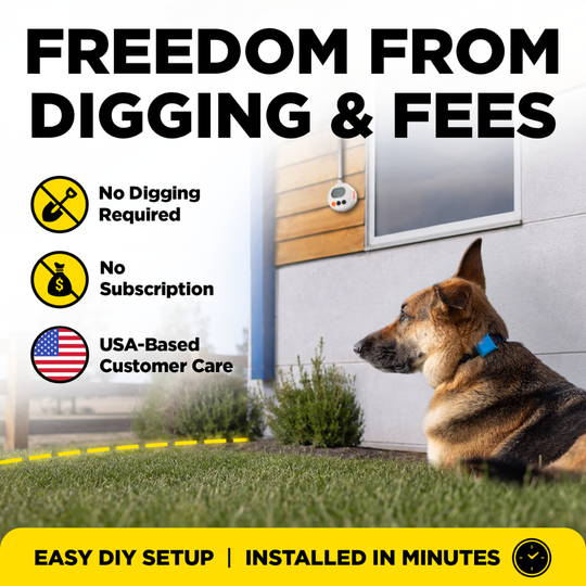 DOGTRA SMART FENCE-Cerca portátil para perros
