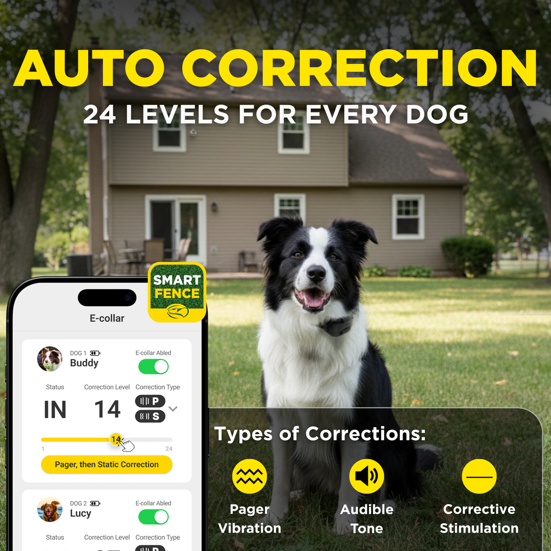 DOGTRA SMART FENCE-Cerca portátil para perros