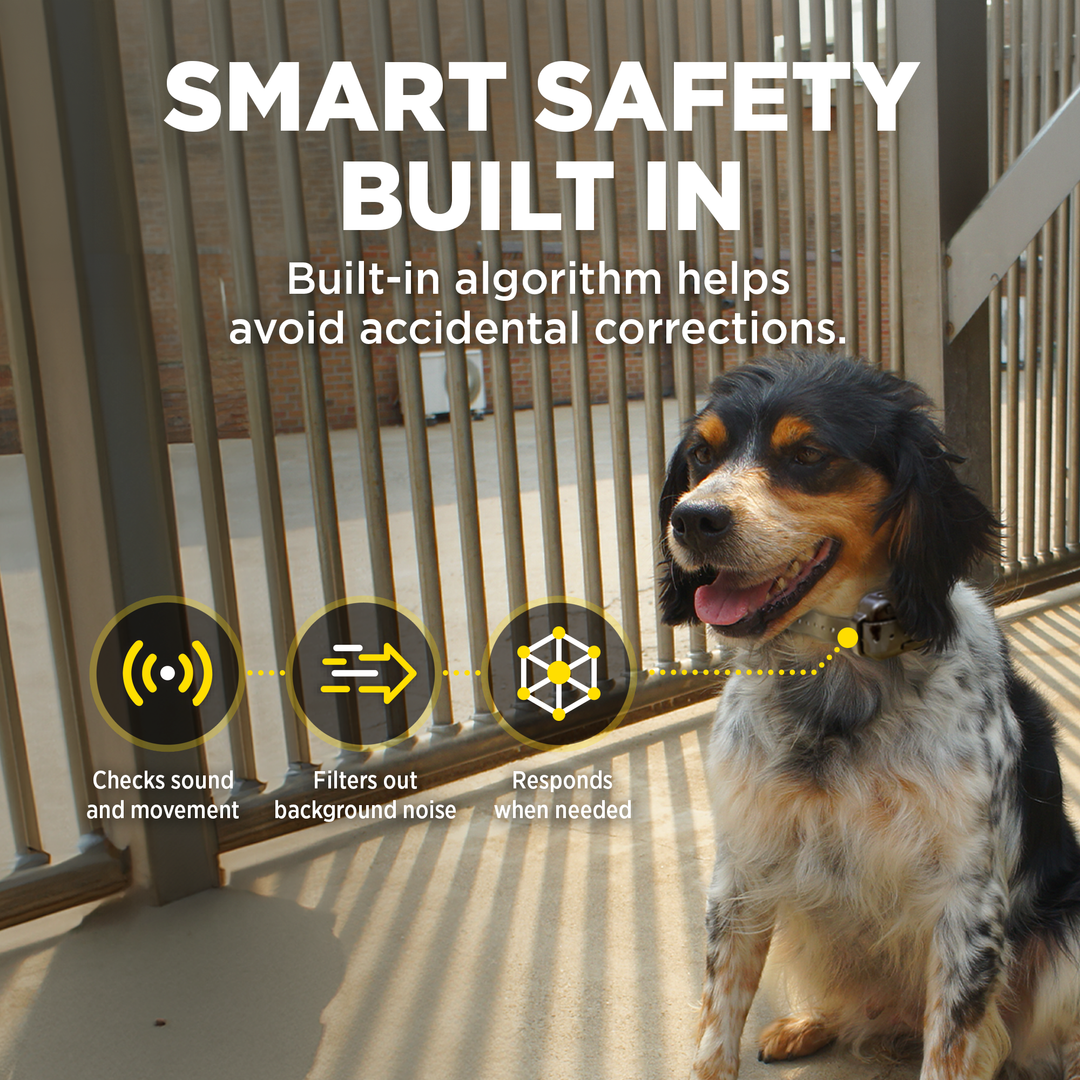 DOGTRA SMART NOBARK