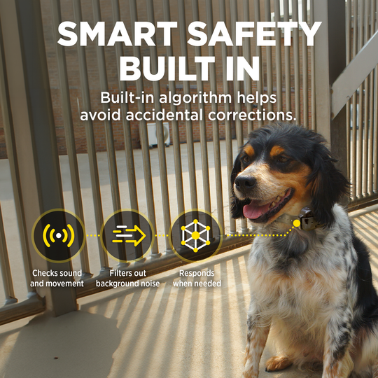 DOGTRA SMART NOBARK
