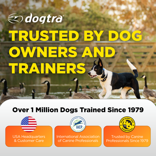 DOGTRA SMART FENCE-Cerca portátil para perros