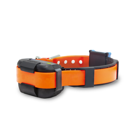 Receptor adicional Dogtra Smart Fence