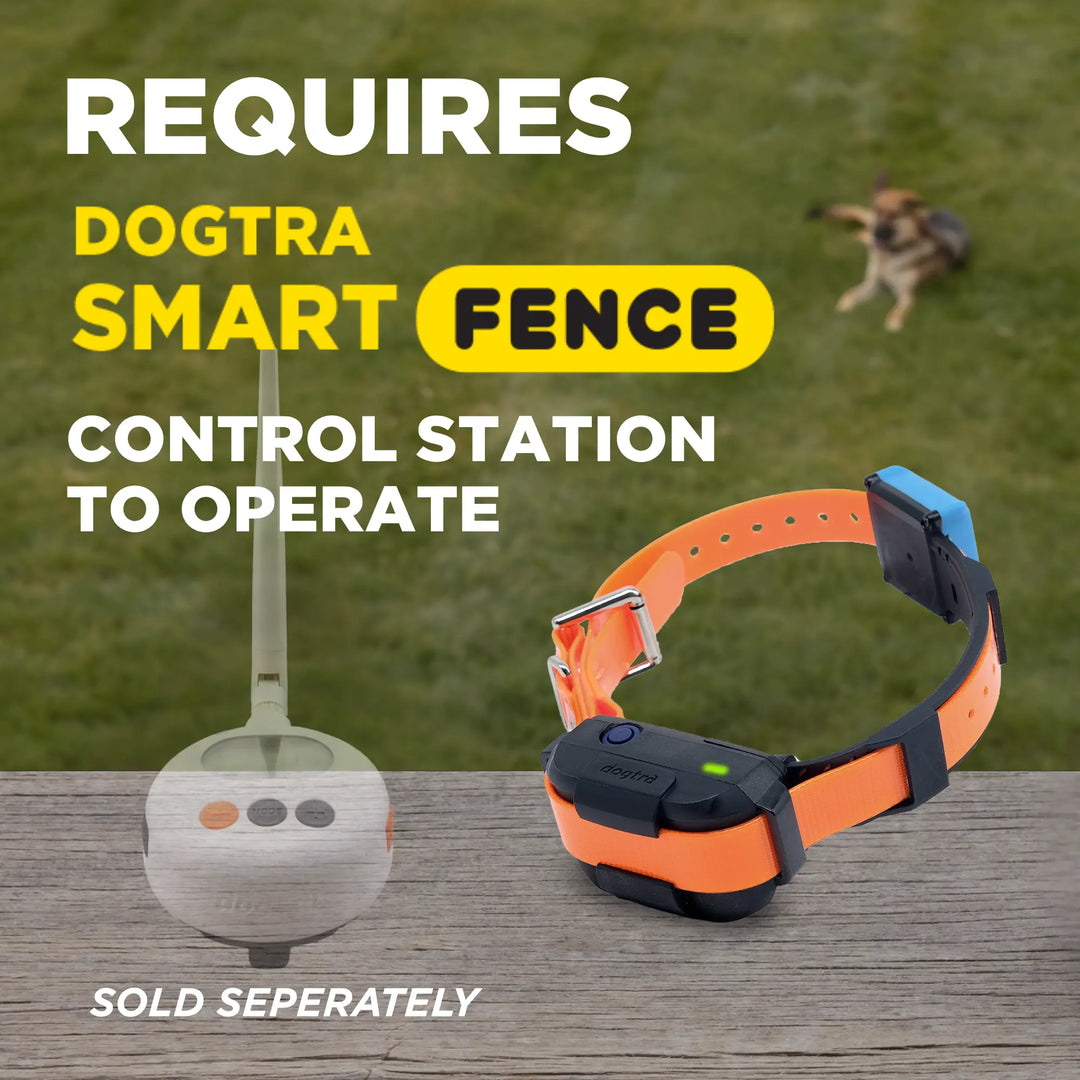 Receptor adicional Dogtra Smart Fence