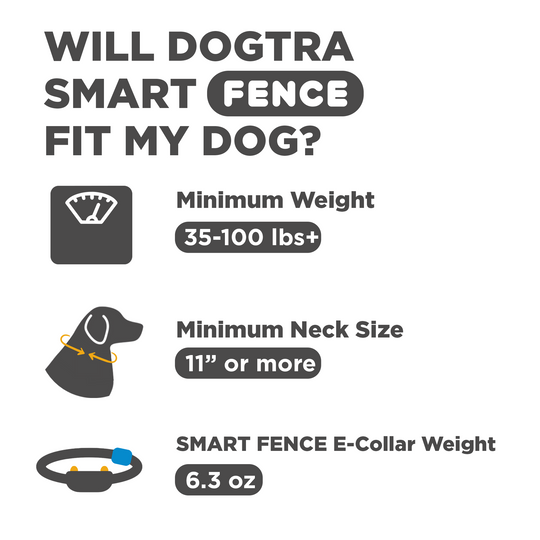 Receptor adicional Dogtra Smart Fence