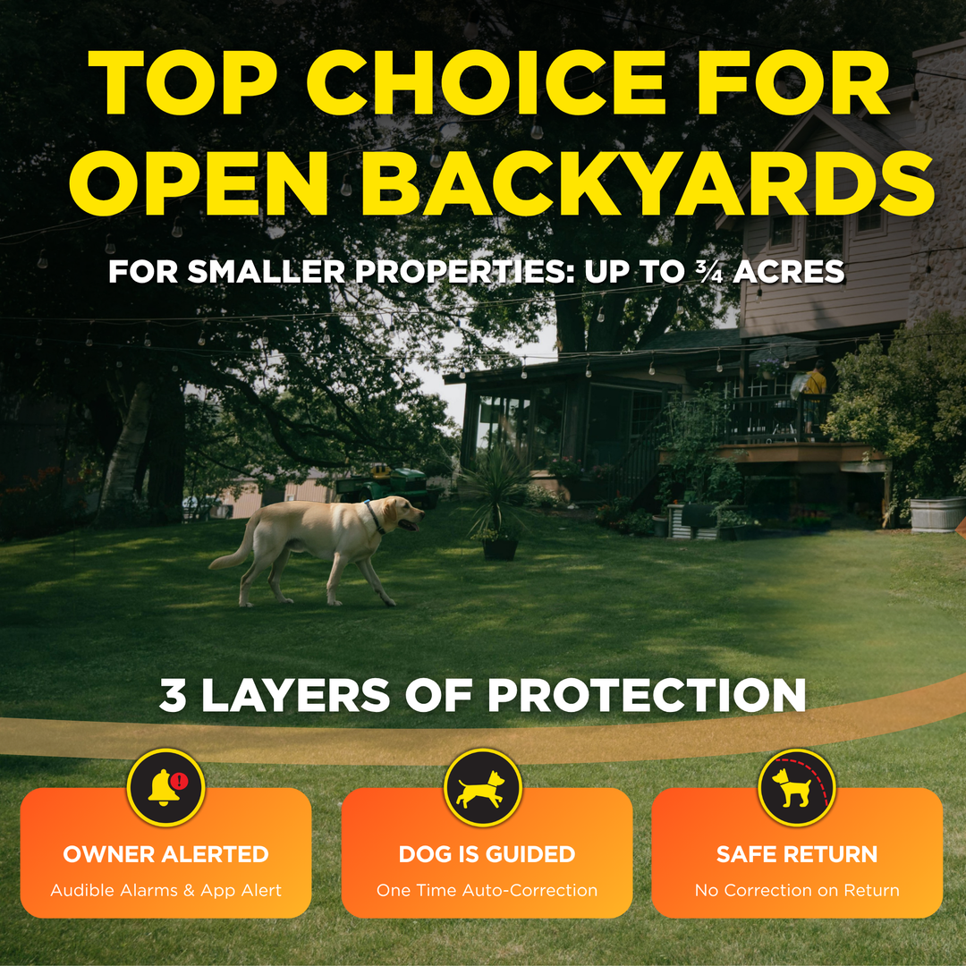 DOGTRA SMART FENCE-Cerca portátil para perros