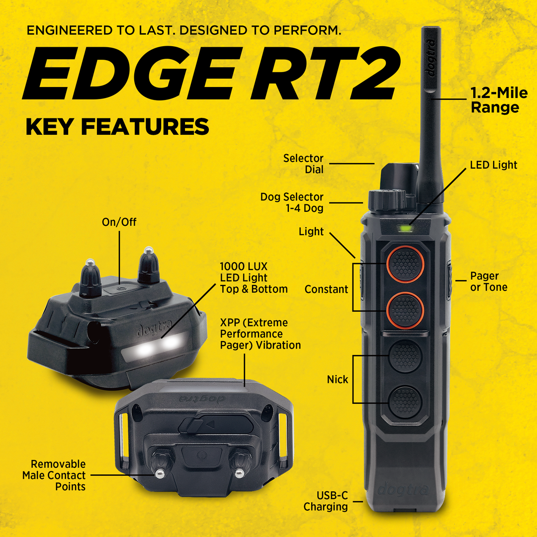 EDGE RT2-Unidad para 1 perro