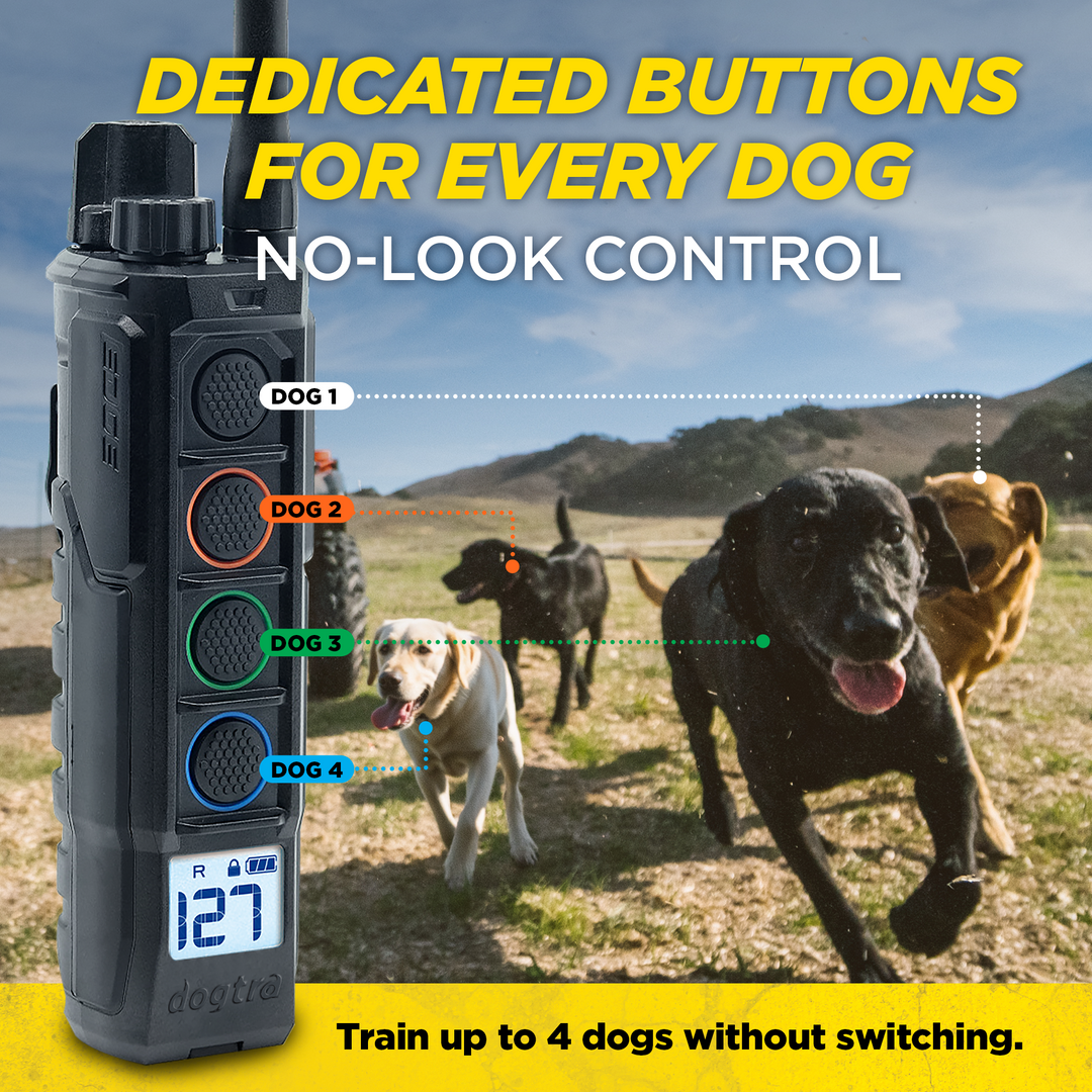 EDGE2-Unidad para 1 perro
