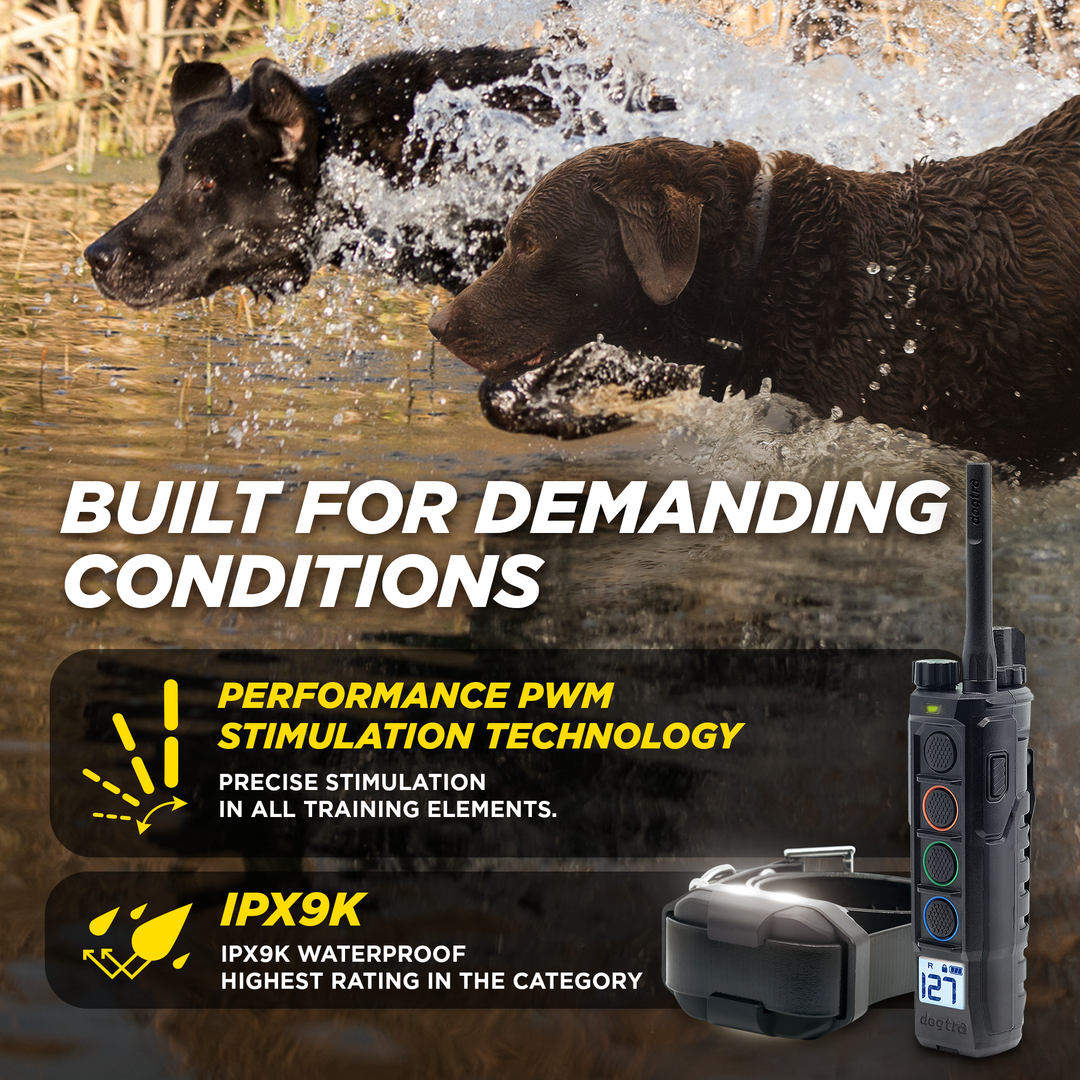 EDGE2-Unidad para 1 perro