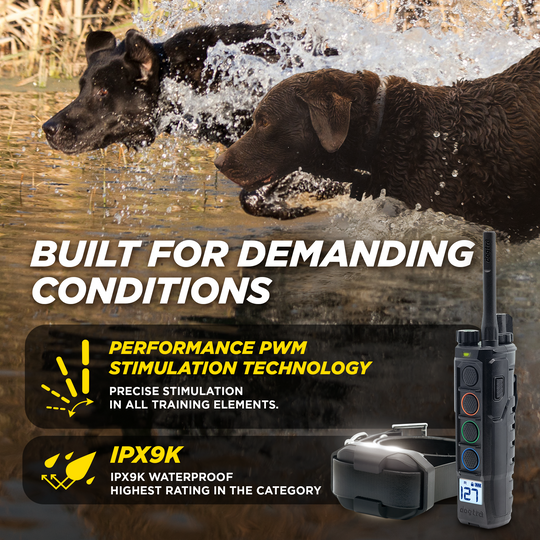 EDGE2-Unidad para 1 perro
