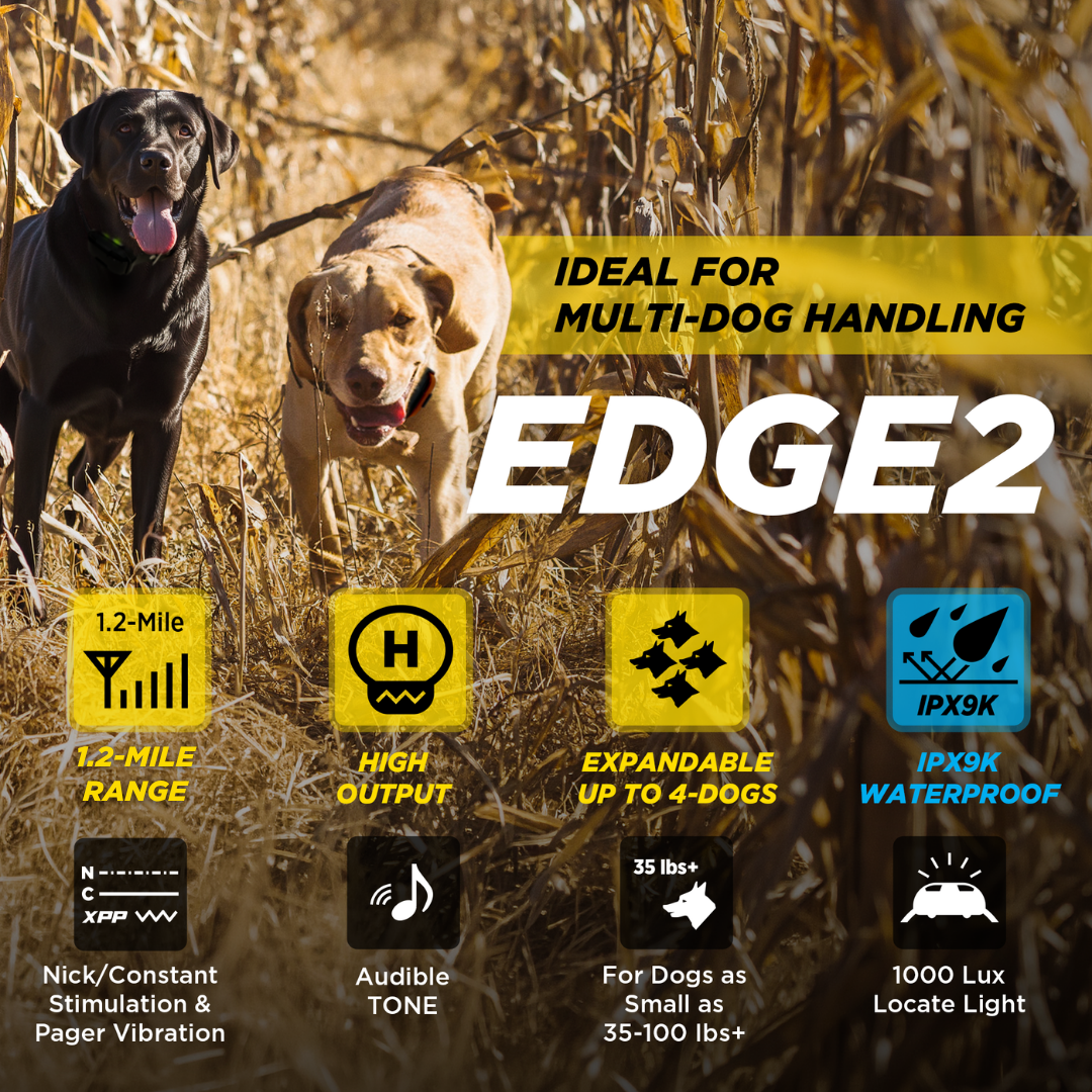 EDGE2-Unidad para 1 perro