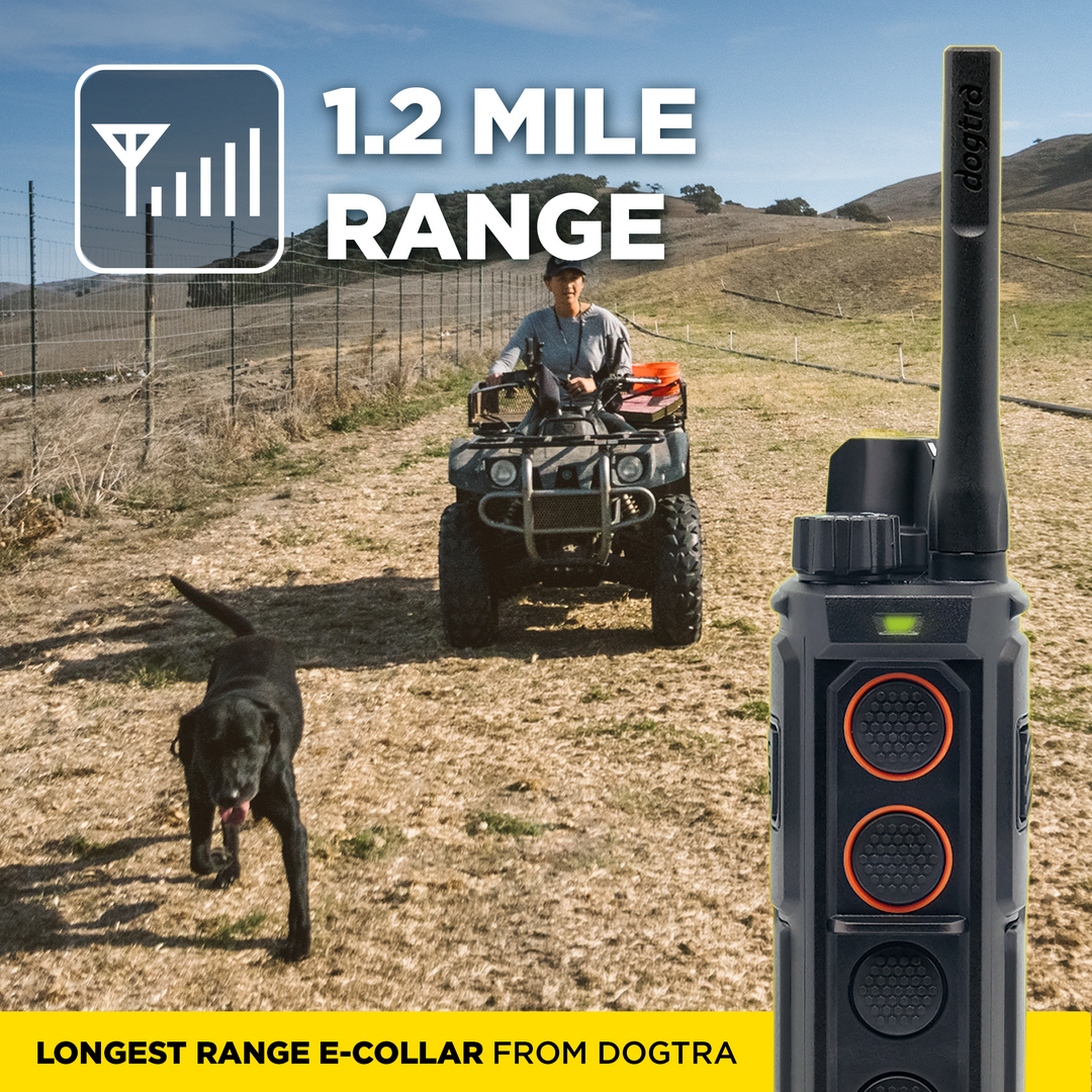 EDGE RT2-Unidad para 1 perro