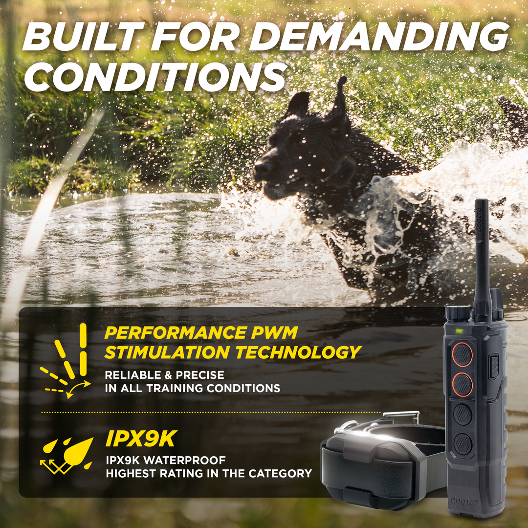 EDGE RT2-Unidad para 1 perro