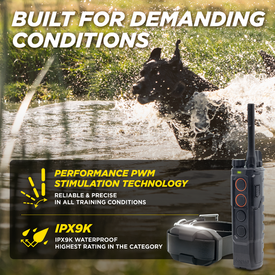 EDGE RT2-Unidad para 1 perro