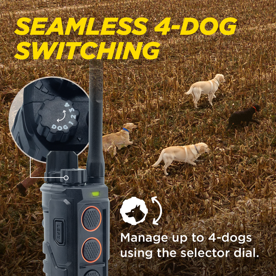 EDGE RT2-Unidad para 1 perro