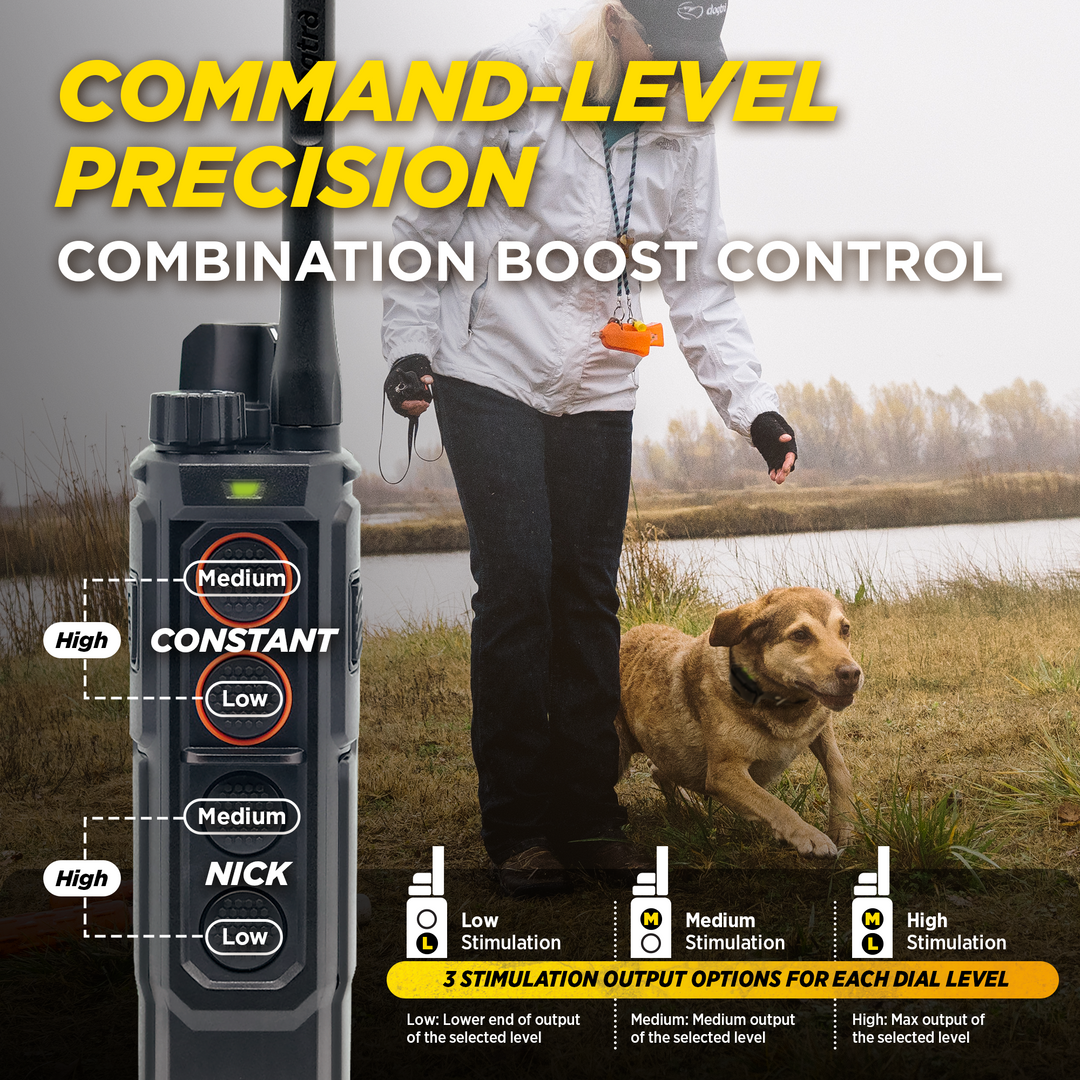 EDGE RT2-Unidad para 1 perro