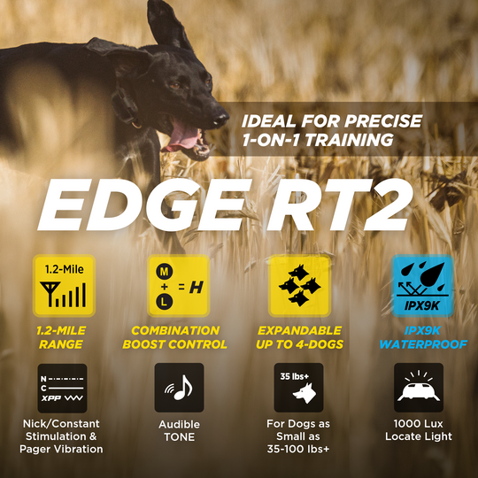 EDGE RT2-Unidad para 1 perro