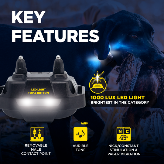 EDGE RT2-Unidad para 1 perro